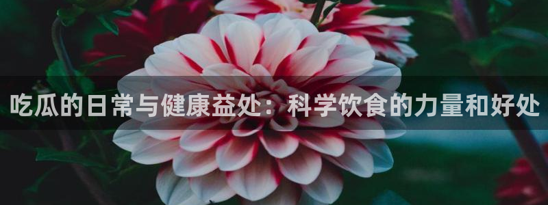 1吃瓜：吃瓜的日常与健康益处：科学饮食的力量和好处