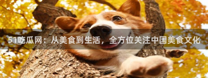 51吃瓜短剧张越女主