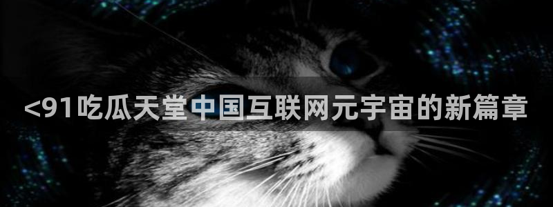 吃瓜吃瓜：<91吃瓜天堂中国互联网元宇宙的新篇章