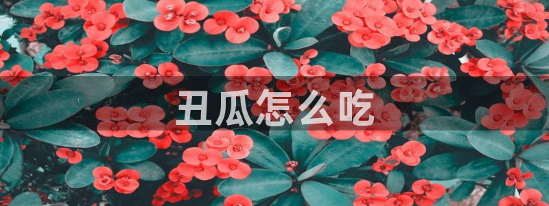 吃瓜网 今日吃瓜 热门大瓜：丑瓜怎么吃