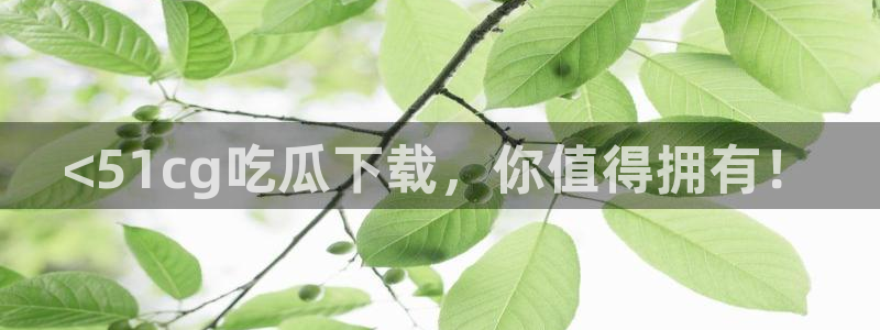 豆瓣自由吃瓜基地