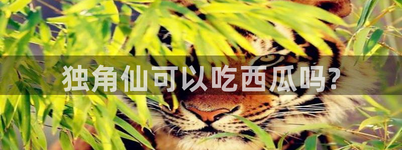 51吃瓜最新吃瓜入口：独角仙可以吃西瓜吗?