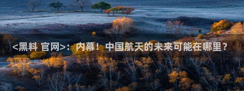豆瓣自由吃瓜基地：<黑料 官网>：内幕！中国航天的未来可能在哪里？