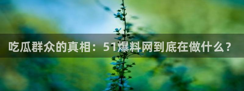 吃瓜胃酸怎么办：吃瓜群众的真相：51爆料网到底在做什么？