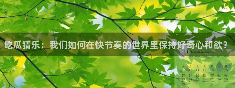 长生武道从九龙夺嫡开始吃瓜：吃瓜猜乐：我们如何在快节奏的世界里保持好奇心和欲？