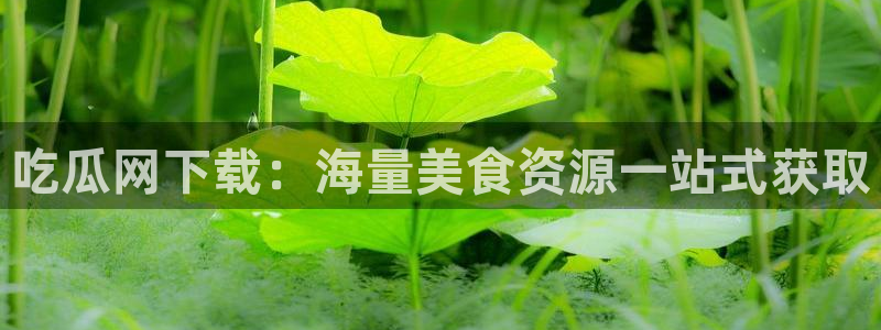 吃小瓜会长胖吗：吃瓜网下载：海量美食资源一站式获取