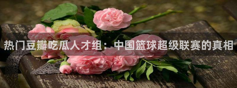 hongkongdoll 51吃瓜：热门豆瓣吃瓜人才组：中国篮球超级联赛的真相