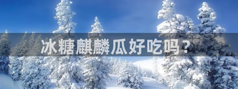 51吃瓜网51cgw：冰糖麒麟瓜好吃吗？
