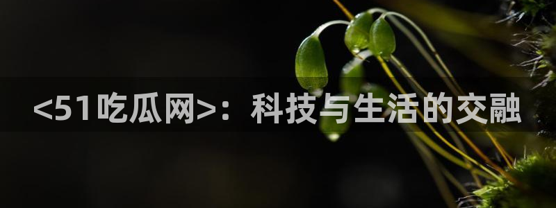 吃瓜事件：<51吃瓜网>：科技与生活的交融