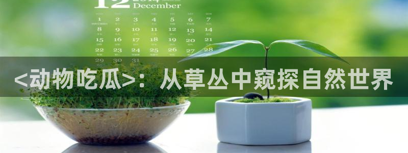 51今日吃瓜热门大瓜入口:<动物吃瓜>:从草丛中窥探自然世界