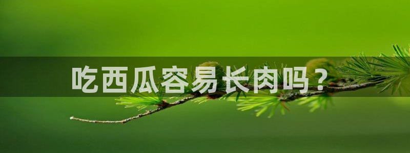 51吃瓜网今日榜单:吃西瓜容易长肉吗?