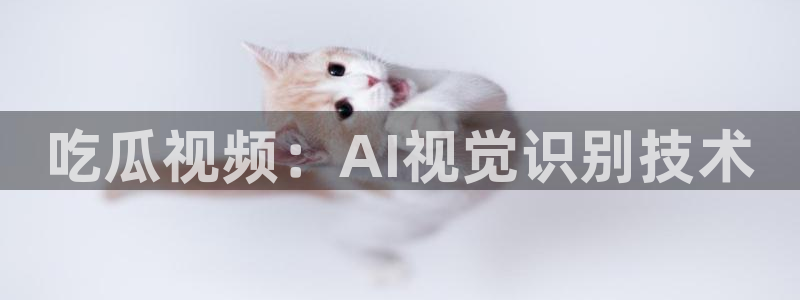 黑料软件：吃瓜视频：AI视觉识别技术